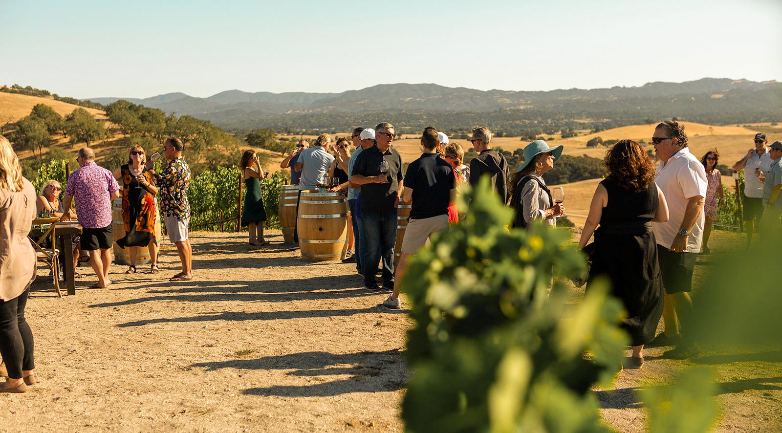 People hanging out at an outdoor wine event